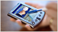 Contact Intercultural Synergies